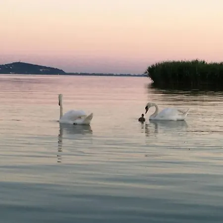 Sziget-lak, Strandkozeli Nyaralo * Abrahamhegy