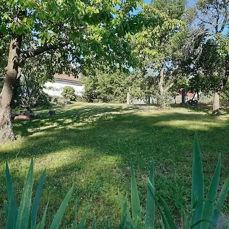Sziget-lak, Strandkozeli Nyaralo *