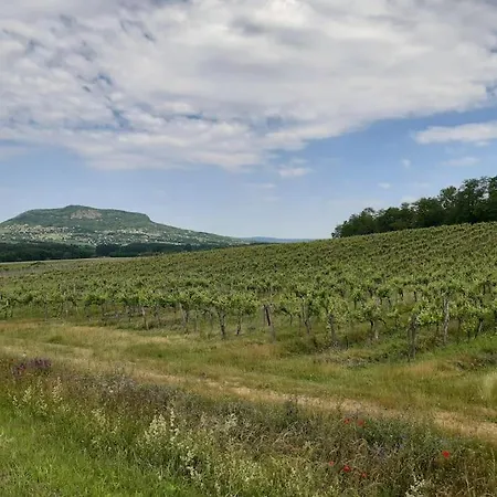 Sziget-lak, Strandkozeli Nyaralo Abrahamhegy
